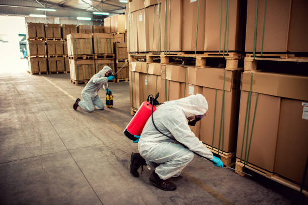 Best Residential Pest Control  in Haw River, NC