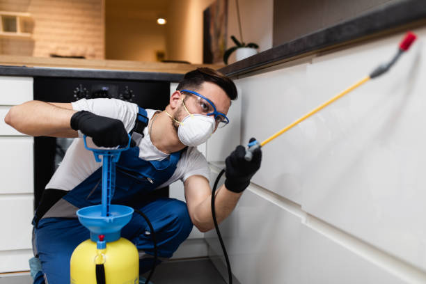 Best Best Pest Control Companies  in Haw River, NC