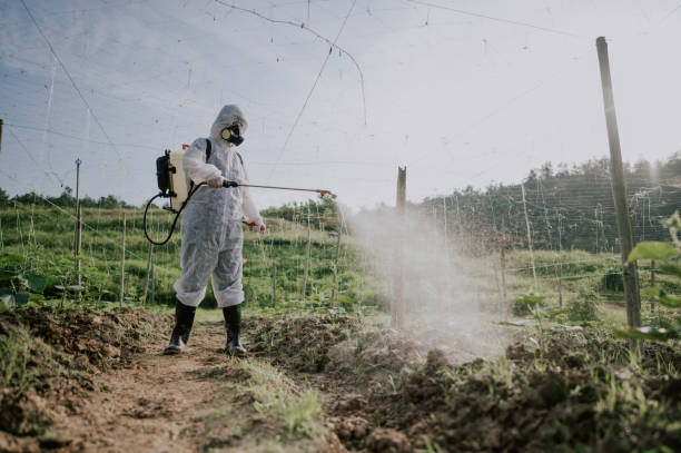 Best Pest Control Treatment  in Haw River, NC