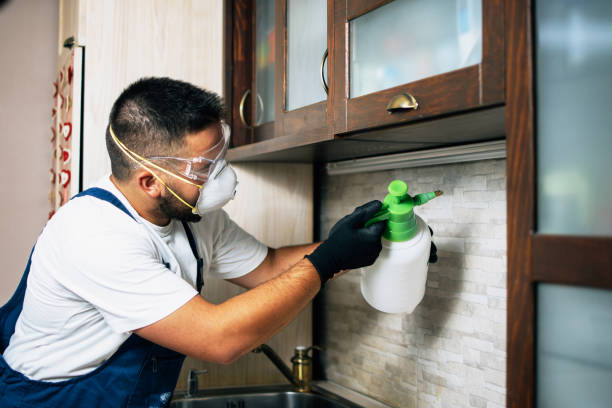 Best Affordable Pest Control Services  in Haw River, NC