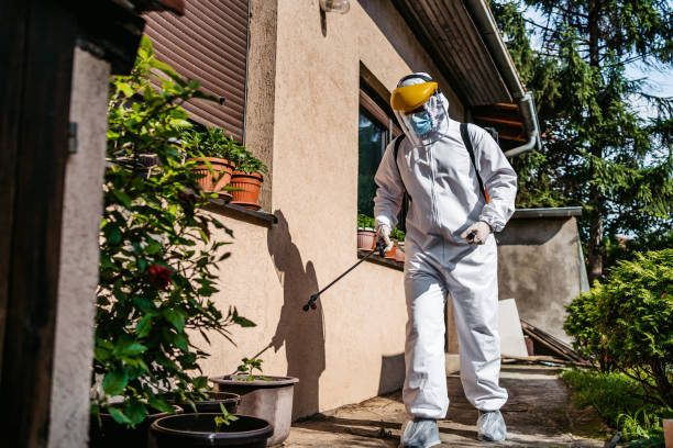Reliable Haw River, NC Pest Control Solutions