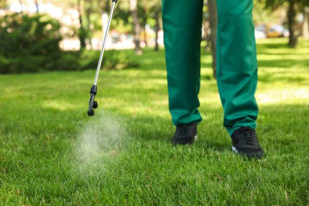 Best Pest Prevention Services  in Haw River, NC