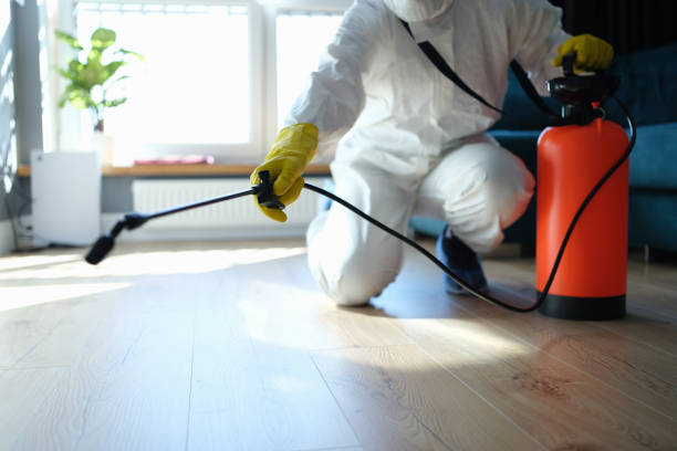 Trusted Haw River, NC Pest Control Experts