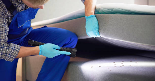 Best Affordable Pest Control Services  in Haw River, NC