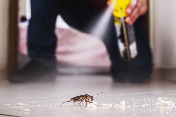 Best Pest Inspection Near Me  in Haw River, NC
