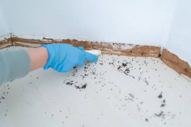 Best Pest Inspection Near Me  in Haw River, NC